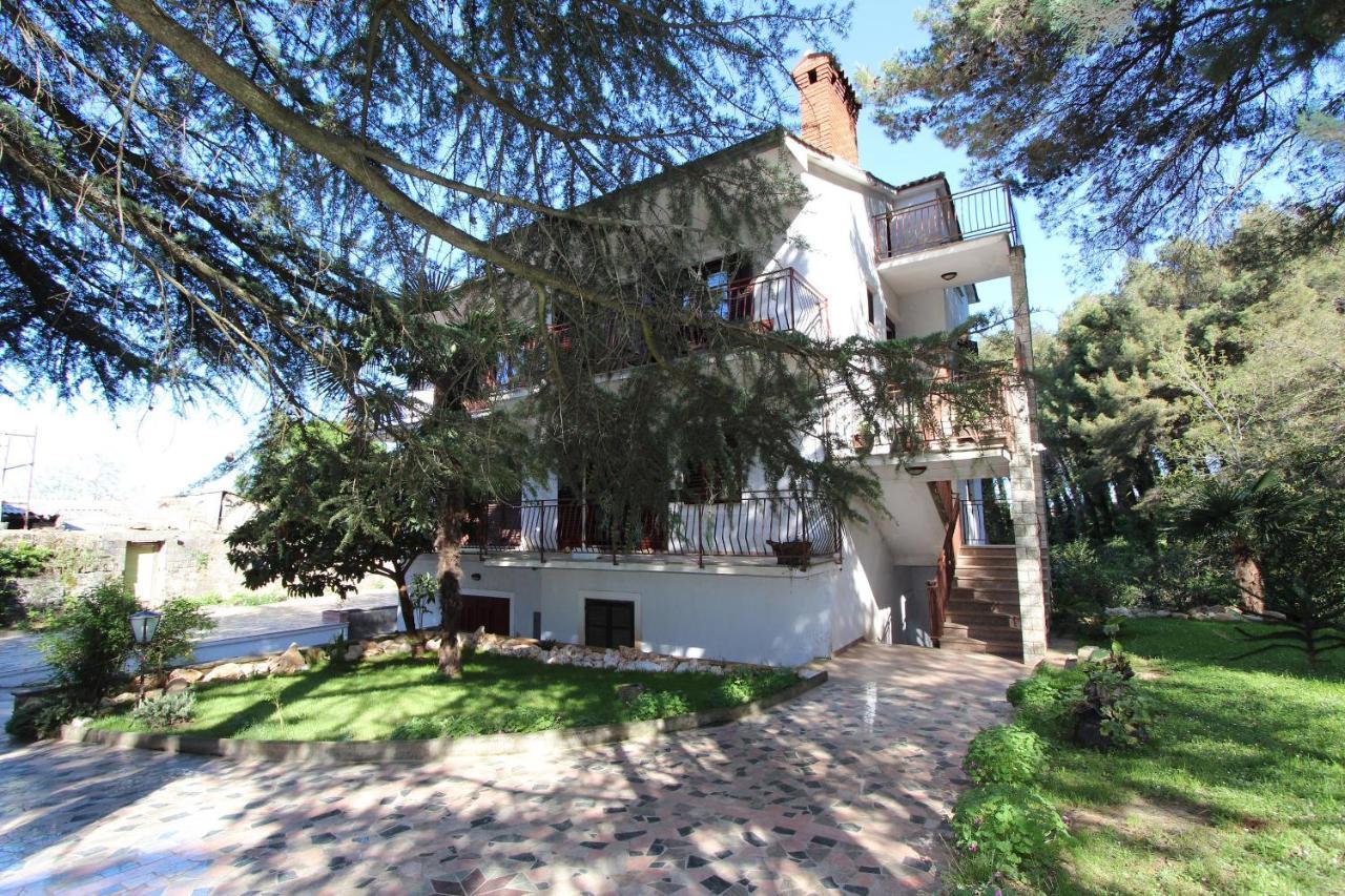 Apartment Clementina Višnjan Extérieur photo